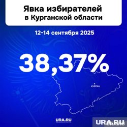 В Курганской области зафиксировали рекордную явку за 15 лет