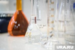 Уничтожение проб было проведено по указанию Родченкова за три дня до приезда WADA