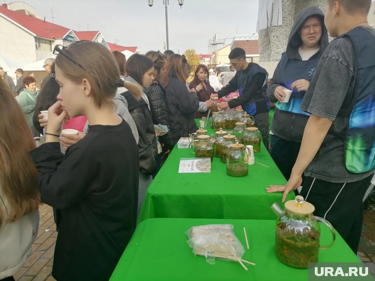 Дегустация травяного чая