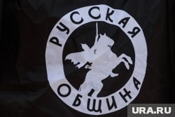 Активисты "Русской общины" отметили даже отсутствие перчаток (архивное фото)