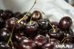 С черешней можно приготовить множество вкусных блюд