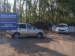Угонщик не смог выехать за пределы садов