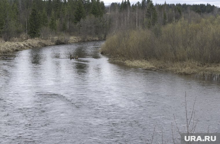 Воду в Косьве и Яйве будут мониторить 24 часа в сутки