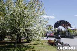 Столбики термометров местами опустятся до +5 градусов