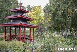 В оранжерее удалось вырастить реликтовое растение