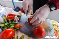 Курганские хозяйки в дачных чатах делятся рецептами