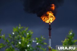 Идея — применить природные механизмы для решения технических задач