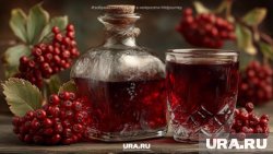 Главное использовать спелые ягоды без признаков порчи