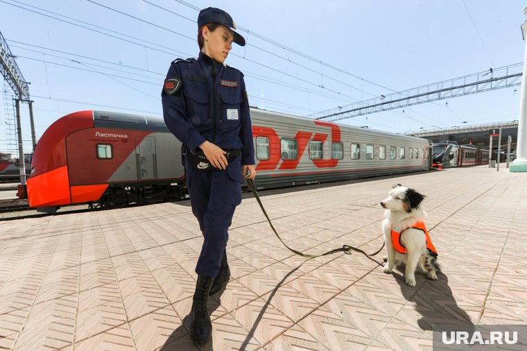 Взрывное устройство было обнаружено под железнодорожным полотном (архивное фото)