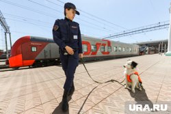 Взрывное устройство было обнаружено под железнодорожным полотном (архивное фото)