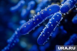 Роспотребнадзор не отмечает рост заболеваемости кишечными инфекциями