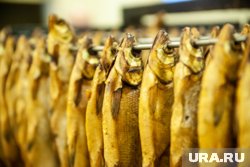 Рыбзавод в Березовском районе будет коптить, вялить и сушить рыбу