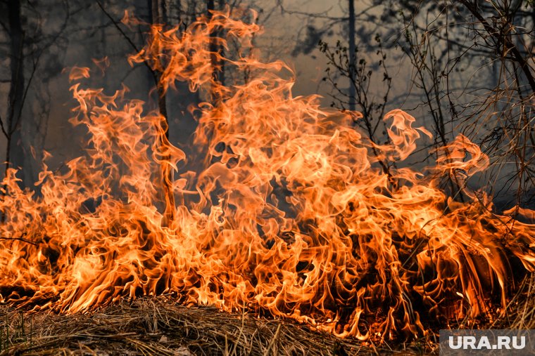 В Ханты-Мансийском районе ХМАО загорелся лес