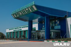 В аэропорту Грозный ввели план «ковер»