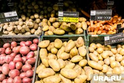 Картофель подорожал больше всех среди овощей 