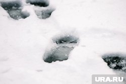 Водителей призвали быть осторожнее на дорогах из-за снега