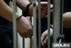 Защитник Евгении Хасис опроверг информацию о ее освобождении