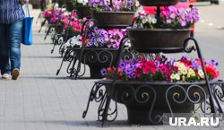 Городское озеленение страдает от вандалов (архивное фото)
