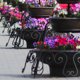 В Чусовом неизвестный отметил годовщину скандальной кражи цветов с городской площади. Фото