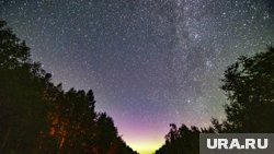 Полярное сияние зафиксировали над Ирбитом (Свердловская область)