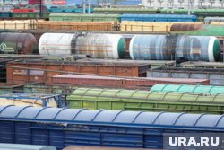 Тонны семян отправлены в европейскую страну