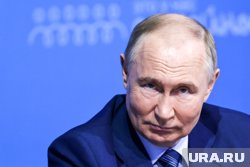 Дроны сформировали портрет Путина в небе