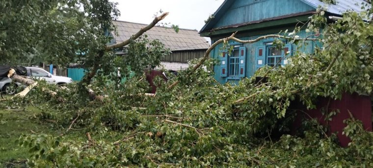Частично без света остаются примерно 81 тысяча человек в 9 населенных пунктах