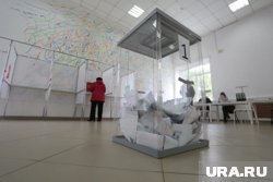 Явка на выборах ЕДГ в 2025 на 8% выше, чем в 2022 году