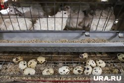 Семья участвовала в конкурсе «Это у нас семейное»