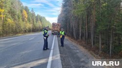 Инцидент случился на Серовском тракте