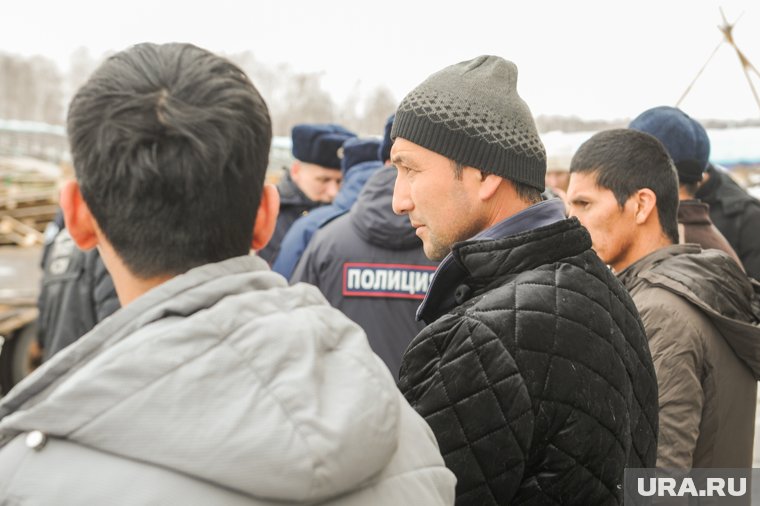 В ходе рейда выявлено 18 нелегалов (архивное фото)