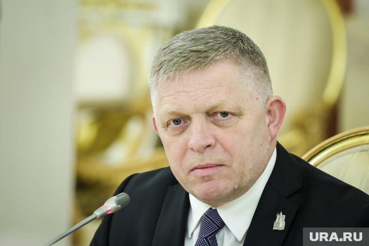 Фицо отметил, что данная поездка в Москву оказалась успешной