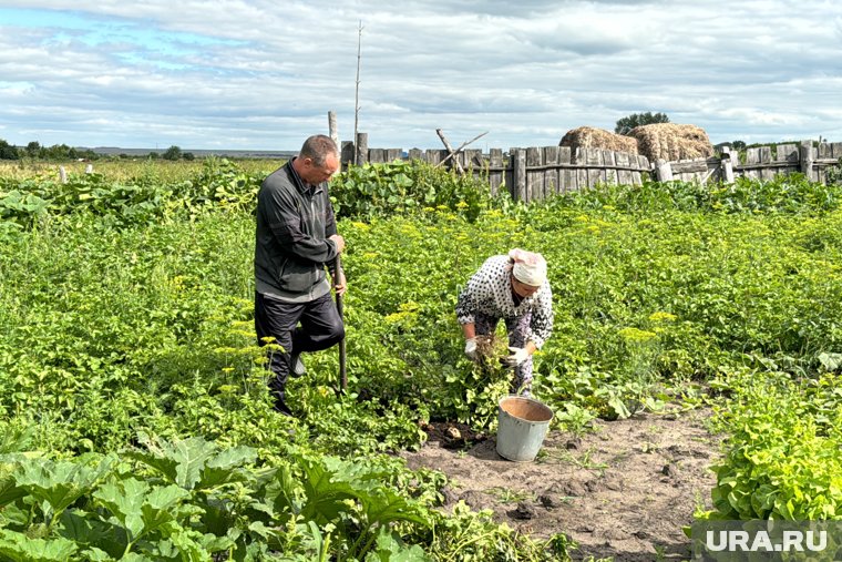 В селе Усть-Уйское новый паводок топит огороды