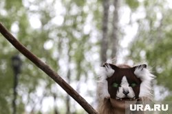 Тюменские квадроберы с наступлением лета переместились поближе к воде