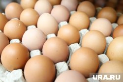 Снижение цены показали все категории яиц 