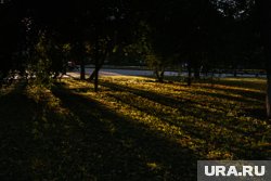 Последний день лета выдался солнечным