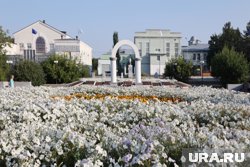 В Шадринске на смену жаре придет прохладная погода