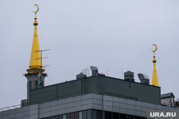 Подросток в Рязанской области пытался устроить теракт, он панировал поджечь мечеть