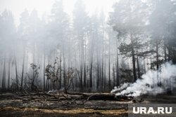 в ЯНАО действуют четыре природных пожара 