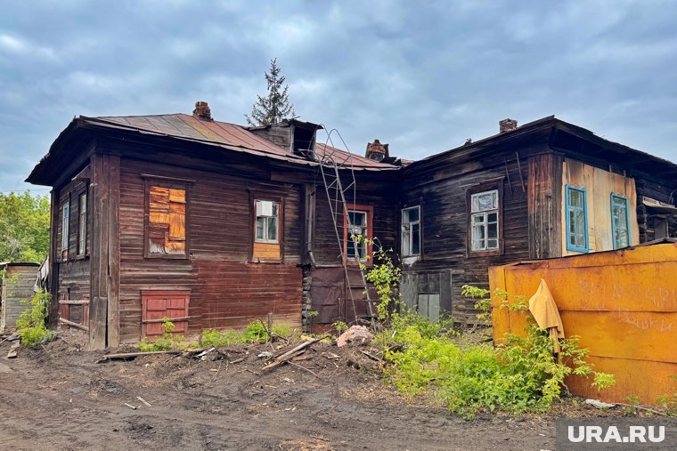 Возле дома Дуранова в Кургане спилили яблоню