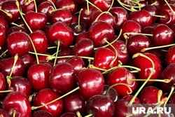 Цена за килограмм составляет 600 рублей