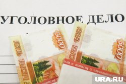 В Шадринске экономических и коррупционных преступлений стало меньше на 18-20%