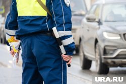 Житель Курганской области выплатил 149 штрафов ГАИ