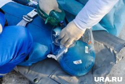 В Белгородской области начались внеплановые учения по гражданской обороне после атак дронов ВСУ по региону (архивное фото)