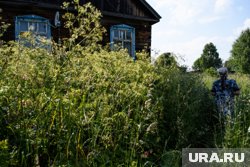 Один из подростков успел спрятаться в кусты