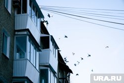 Пенсионерке не понравилось, что сосед курит на балконе