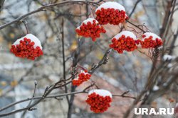 В Кургане ожидается теплая погода без осадков