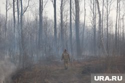 В этом году в регионе произошло 19 лесных пожаров
