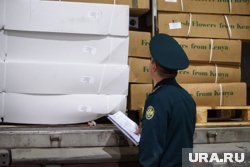 Предприниматели не провели таможенное оформление товаров