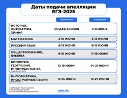 Какие есть сроки подачи апелляции 